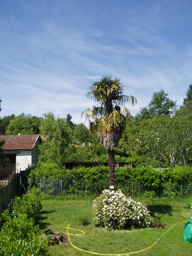 L'Ancien Patronage Caumont-sur-Garonne Exterior photo